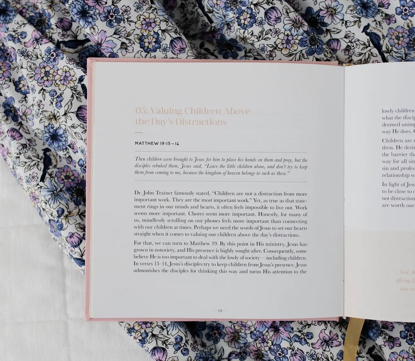 Steadfast Motherhood | 60 Days of Abiding in Christ